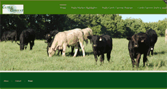 Desktop Screenshot of cattlecurrent.com